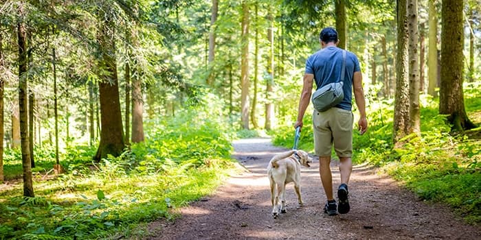 person hiking with their dog